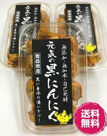 ＜12時までのご注文で即日発送＞【株式会社元気】元気の黒にんにく 200g×3個(3パック600g)青森県産にんにく 無加水 じっくり熟成 食品添加物不使用