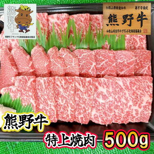 yOdFszXF싍 ēZbg 500g v[gɂ