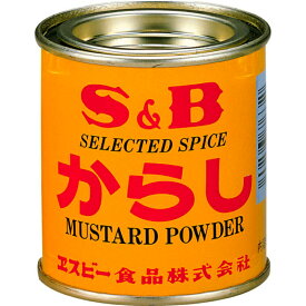 S&B エスビー からし 35g×100個