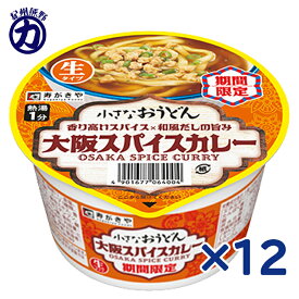 【寿がきや】小さなおうどん ＼スパイス香る／大阪スパイスカレー＜生タイプ＞ C 87g×12個