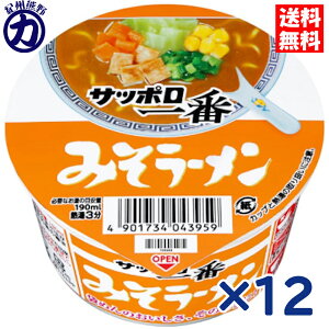 yT[HizTb| ݂[ ~j ǂԂ 46g×12