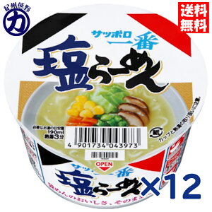 yT[HizTb| [߂ ~j ǂԂ 41g×12