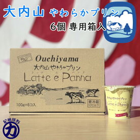【冷蔵】大内山酪農 大内山やわらかプリン Latte e Panna 6個 専用箱入（三重県産 特産品 ギフト）