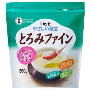 �yQP�z�L���[�s�[ ���₳���������� �Ƃ�݃t�@�C�� 300g×10��Y5-18