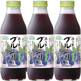 マルカイ 順造選 ブルーベリージュース 500ml×24本 (12本×2箱)