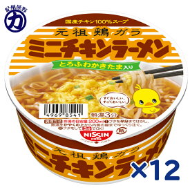 日清食品 チキンラーメン ミニ 38g×12個