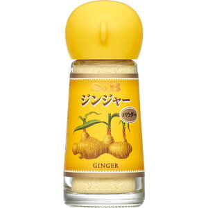 yS&BzGXr[HiWW[ GINGER pE_[ 11g×30