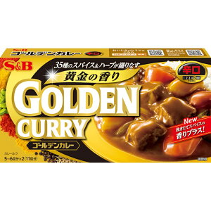 yS&BzGXr[HiGOLDEN CURRY S[fJ[ h 5`6M×2(11M) 198g×60