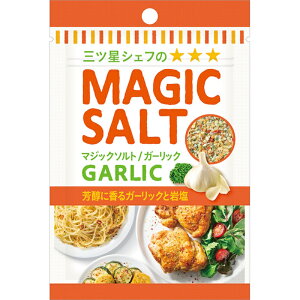 yS&BzGXr[Hi}WbN\g K[bN MAGIC SALT GARLIC ܓ聄 20g×10