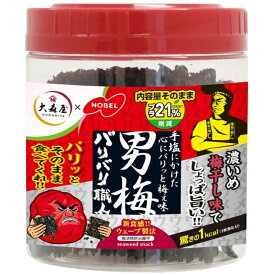 ＼＼12時までのご注文で即日発送／／【大森屋】 バリバリ職人 男梅味 味付け海苔 30枚入×1個