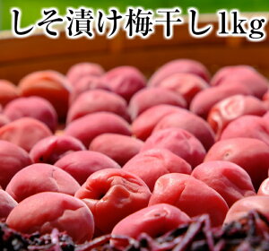 ln OdY IB썂~ Ђ ~ 1kg 10%