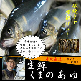 生鮮あゆ（くまのあゆ）10〜12尾入おつまみ、酒の魚、塩焼きに最適！超美味い！