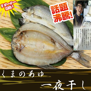 魚 フライパン 魚の人気商品 通販 価格比較 価格 Com