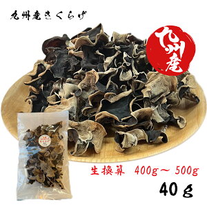 @Y  y 炰 40g zZ400g`500gi؎jlg er LNQ 40g 炰 Y  炰 Y炰 ؎ ̂   ؗ ؐH H ޗ 