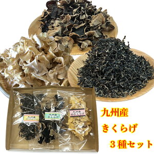 Y  y LNQ 3Zbg ze20g 3 BY 炰 ؎ LNQ  炰 낫炰 XCX א؂ Jbg BY X[v [ F{   NHi