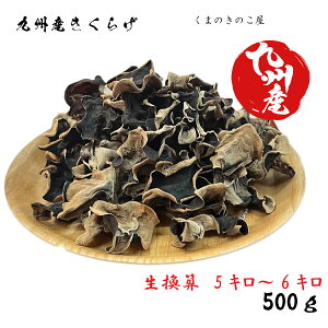 Y  y 炰 500g ze Z5L`6L ؎ lg er LNQ 炰 Y  炰 Y炰 ؎ ̂   ؗ ؐH H ޗ w