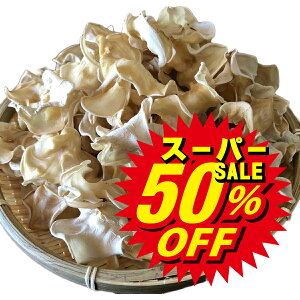 Y  炰 炰 y AQLNQ 40g z 炰  F{ lgY  lg lgs 炰 LNQ 炰  ̂ B F{ NHi LNQ 