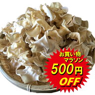 マラソンセール 国産 白 あらげ きくらげ 【 白アラゲキクラゲ 40g 】 白きくらげ 送料無料 熊本 人吉産 …