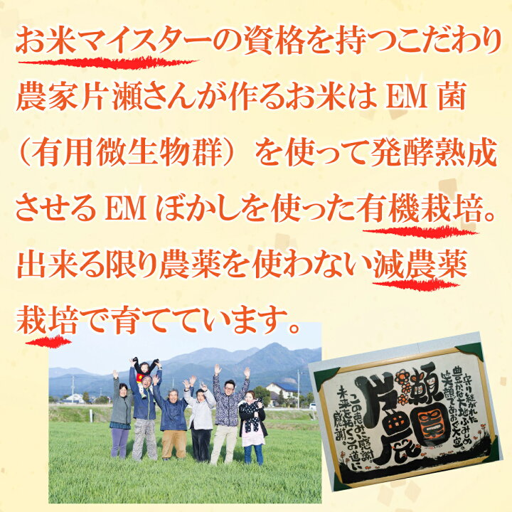 楽天市場】令和7年・新米 【 熊本産 にこまる 30kg 】30キロ 30kg 