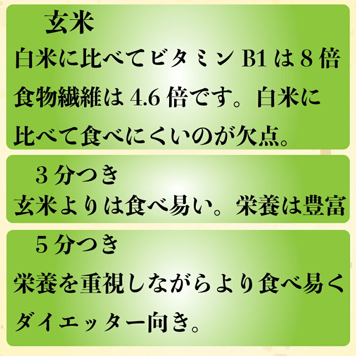楽天市場】令和7年・新米 【 熊本産 にこまる 30kg 】30キロ 30kg 