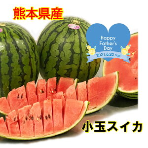 \y F{ ʂ z Gi ЂƂ肶 3 3L 7`8kg  F{ XCJ Z @Mtg ̓ Mtg j a@ITCwvt
