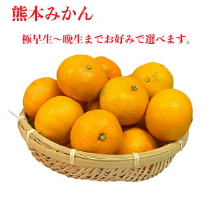 9蔭 ɑ`Ӑ F{Yy݂ 2L+܂600gzv2.6L wase  F{Y ō Gi  2.5L Âς  ~J