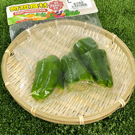 【時短食材 ピーマン】 カット野菜BBQ 通販 野菜セット 詰め合わせ 九州 お買い得 コロナ 対策 肉詰め 焼き肉 焼肉 一人 暮らし 仕送り プレゼント