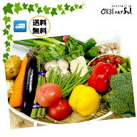 新鮮 野菜セット 【 新鮮野菜 と 果物が12品以上 】 送料無料 九州産 中心の 野菜詰め合わせ 野菜 詰め合…