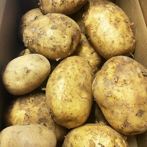 G\ VႪ y VႪ 10L z VႪ Ai  Y ԓy t n鏒