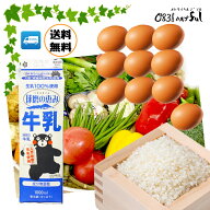 【 選べる 野菜セット 】野菜と果物12品以上 + 卵 乳製品 野菜セット 送料無料 野菜詰め合わせ 詰め合わ…