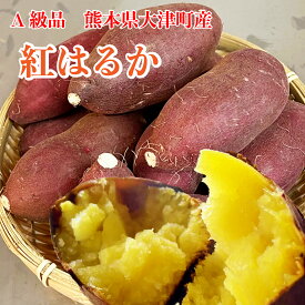 生芋【大津 紅はるか 2.5kg】 熊本県大津町産 最高等級 A品 焼き芋用 さつまいも 2.5キロ サイズ選べます 甘藷 サツマイモ べにはるか 蜜 焼き芋 芋スイーツ しっとり ふっくら シルク スイートポテト