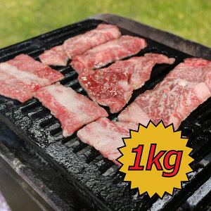��B�Y�y BBQ�Z�b�g �zBBQ 1�L�� 3�`4�l�O ����t �ē��Z�b�g �J���r ���[�X ���Y�{ �o�[�׃L���[ �ē� �n���[�� �L�����v �A�E�g�h�A ���Ε� ���� �M�t�g �� �M�t�g �a���� �v���[���g ������