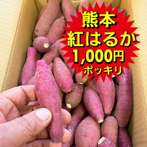 �������� ���� ��� �󂠂� 2S�y �n�� ��� �g�͂邩 2S 1kg �z �F�{�� ��Ò��Y �ׂɂ͂邩 �ō����� A���i �Ă��� ���܂��� 1�L�� ���܈� �T�c�}�C�� �X�C�[�g�|�e�g ������ ���� 