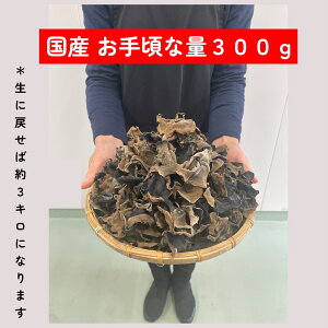 炰 Y  300O r^~D H@ۖLx 炰 N LNQ ̂ 󂠂 ̂ I[KjbN _ X[p[t[h _CGbg H 炰 ir i