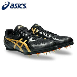 asics/AVbNX  XpCN [1093a167-003 EFFORT13] 100m`1500m_n[h__Oi___^C_XpCNylR|Xs\z