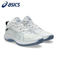asics/アシックス バスケットボール バスケットシューズ [1063a096-106 GELHOOPV17(ゲルフープV17)] バッ…