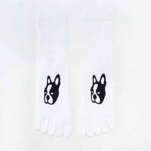 Claudio_Pandiani/NEfBIpfBA[j I[W ANZT[ [cp21070 worldsox5{w\bNX] C_\bNX_ ylR|Xz