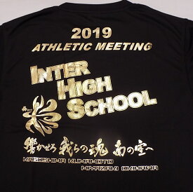 オールジャンル トップス [2019interhigh_t-1 南部九州総体2019_半袖Tシャツ] インターハイ_インハイ_記念品_大会グッズ/2019 【ネコポス対応】チームで揃えて割引！