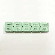 Consecutively Numbered Double Ticketグリーン 100枚 パーティーチケット イベント 【定形外郵便のみ送…