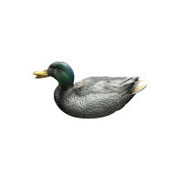 犬用 レトリーブトイ 【Mサイズ】トレーニングダミー 鴨 duck 鳥 birdウォーターダミー トレーニングトイ…