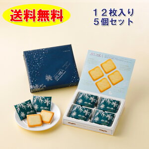 ISHIYA li12j×5Zbg