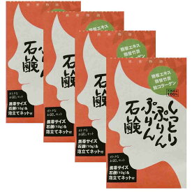 しっとりぷりんぷりん石鹸 携帯サイズ10g×4個セット お試し 期間限定 お得商品 せっけん 洗顔 ニキビ 男女