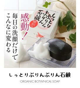 ƂՂՂ Ό100g   GCWO jp Y ӂ邳 kC F GLXƌF|YƍR[Q1̐ΌOK