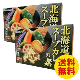 北海道スープカレーの素 4皿分入り×2箱 北海道限定　中辛　辛口　チキン　送料無料