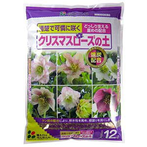 yIzԂ@NX}X[Y̓y@12L@×4܃NX}X[Y̐AւɍœKI