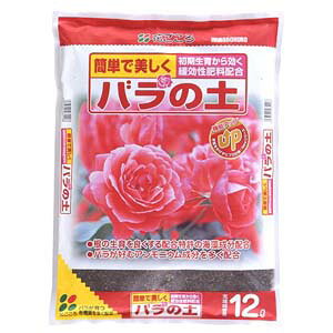 yIzԂ@o̓y@12L@×4ܔ炩I