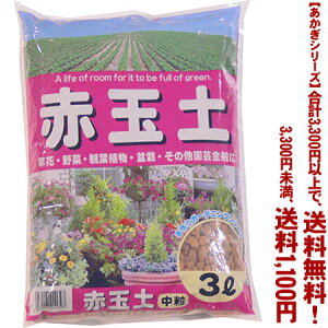 ytIzyV[Yzԋʓy@ 3LǂIŁA3,300~ȏ㑗I