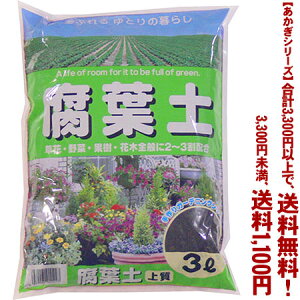 ytIzyV[Yzty 3LǂIŁA3,300~ȏ㑗I