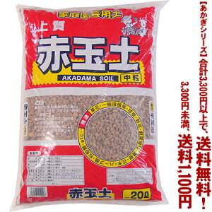 ytIzyV[Yzԋʓy@ 20LǂIŁA3,300~ȏ㑗I