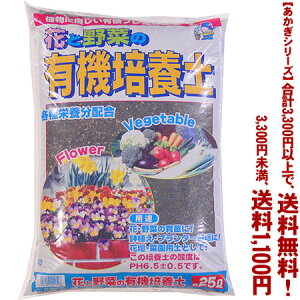 ytIzyV[YzL@|{y 25LǂIŁA3,300~ȏ㑗I